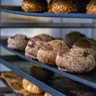 Artisan sourdough loafs of bread on calling rack. Behind the rack the ovens.