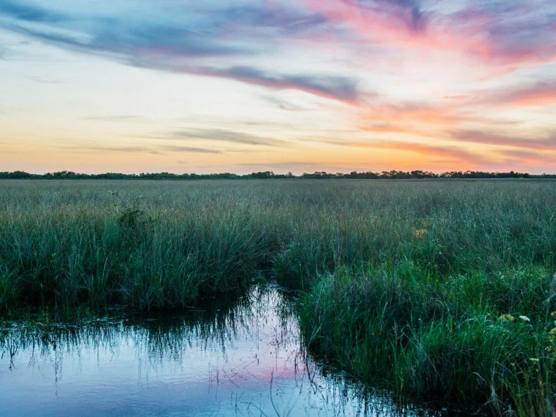 This is a horizontal color photograph over the landscape in the Florida Everglades National Park.