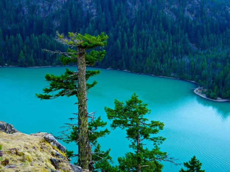 Northern Washington's Cascade Range.