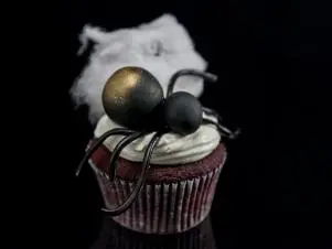 HGTV's Drew Scott and Food Network's Tia Mowry chose a spider theme for their halloween cupcakes, as seen during the 2016 All Star Halloween Spectacular. (after)