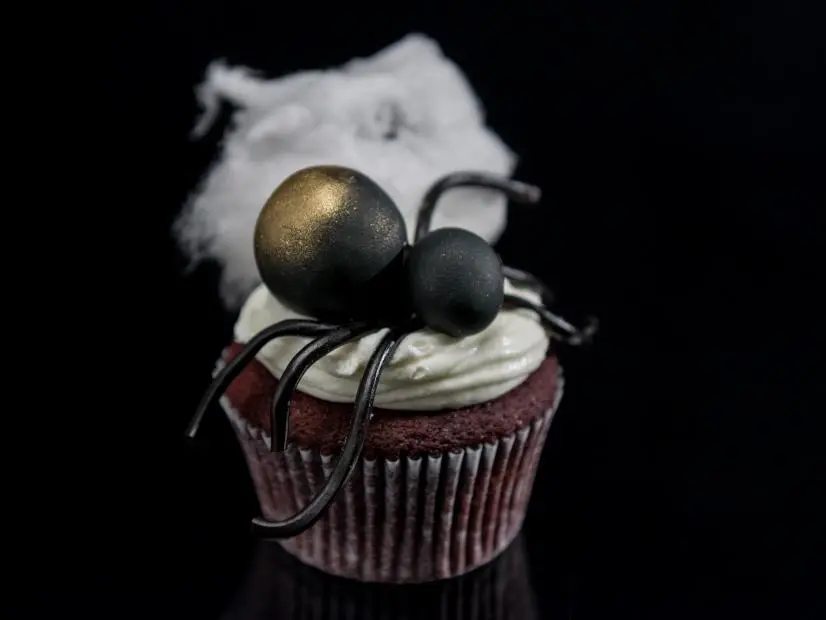 HGTV's Drew Scott and Food Network's Tia Mowry chose a spider theme for their halloween cupcakes, as seen during the 2016 All Star Halloween Spectacular. (after)