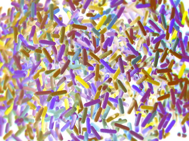 Why Should You Care About the Microbiome?