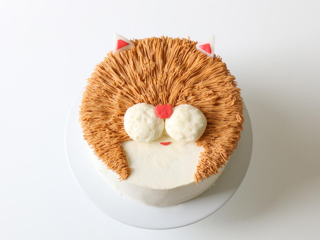 Coolest Cat Cake Design