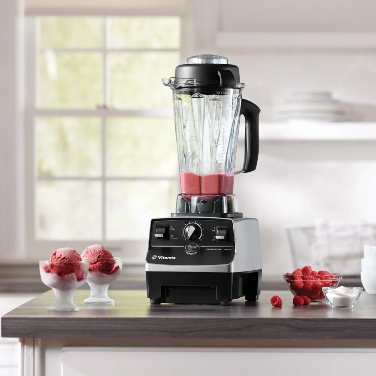 Vitamix 5200 Blender Vitamix Company What Blender Professional Do