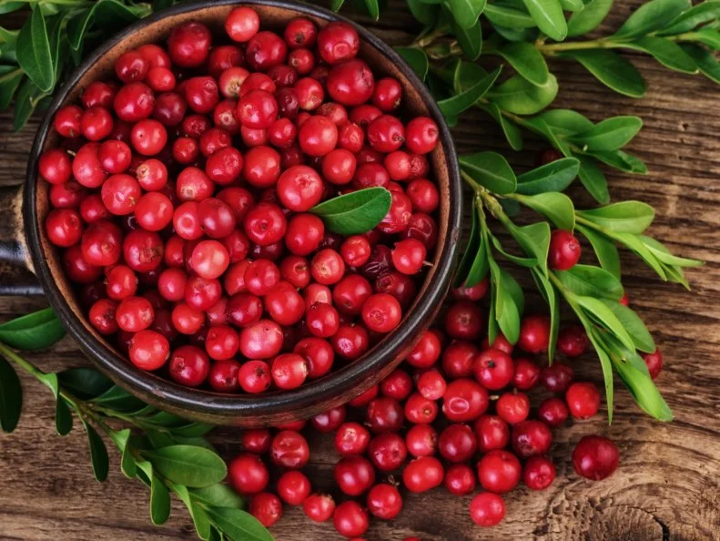 Cranberry closeup top view. Organic beries over wooden background.