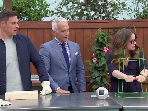 DIY Better Your Backyard