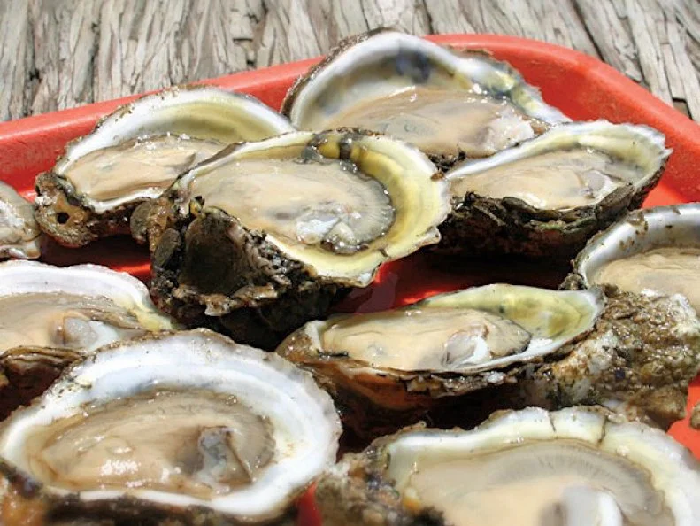 The McNeil family started selling seafood-centric fare in Port St. Joe, near Panama City, at a former trading post in 1929. Though its name has changed, the space has always been a store and restaurant. In 1985, it became Indian Pass Raw Bar to represent the conceptâ  s evolution. The place is such a stalwart that locals generally refer to it as simply Raw Bar, one of the best places to enjoy oysters from the Gulf. The team sources hyper-locally, pulling their selection from beds every morning in the nearby Apalachicola Bay. Large, plump and slightly salty with a sweet finish, the oysters are highly coveted by chefs around the country and thought to be among the best oysters on the planet. The only way to get a fresher taste of them is to shuck one yourself, straight from the bay.