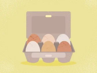 10 Things You Need to Know About Eggs
