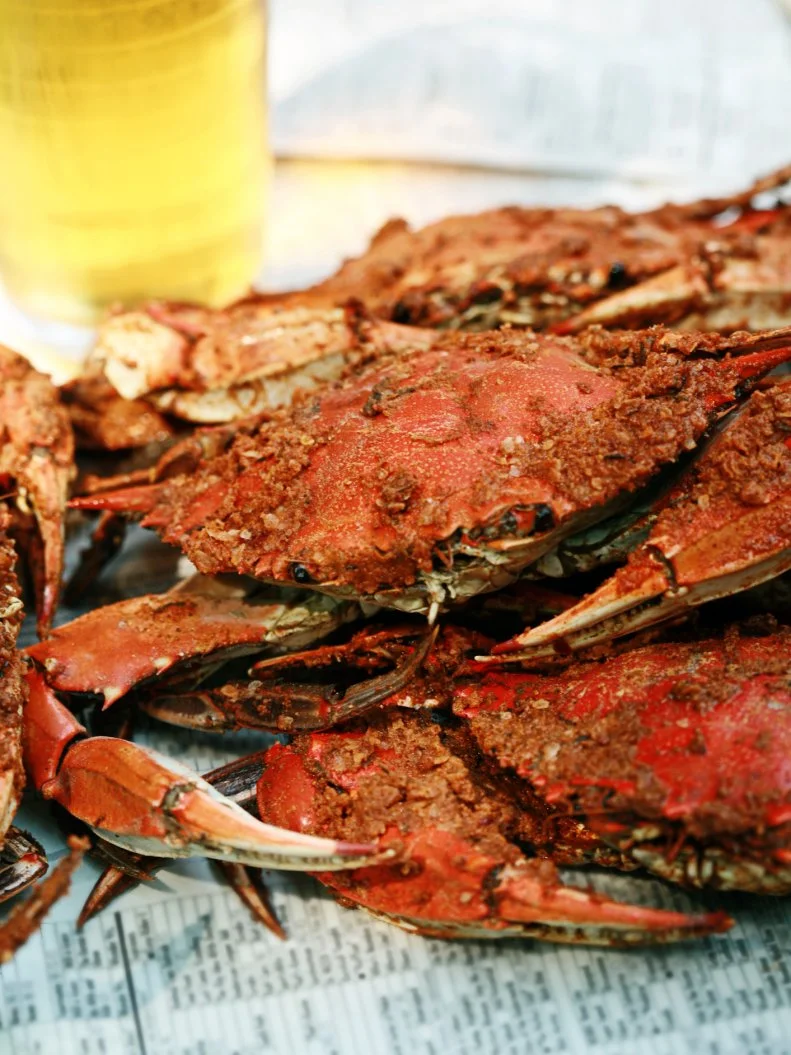 Love for these peevish crustaceans is nurtured from childhood to infirmity in Delaware, where the sweet meat is preferably picked from the Old Bay Seasoning-crusted shell by hand during beer-lubricated backyard feasts. The crabs are also considered proper adornment for an array of dishes, including crab cakes, pasta and soup. True down-and-dirty crab-crackin’ should be indulged at a careworn crabhouse such as Sambo’s Tavern in Leipsic; more refined explorers might opt for the silky-creamy crab bisque (with crab cake on the side) at Newark’s Nutter’s.