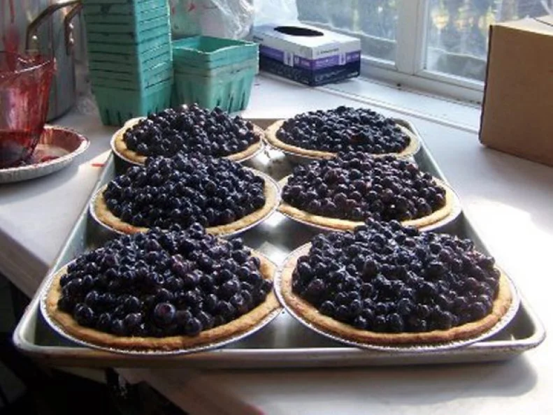 Some claim the Finger Lakes region is the grape capital of the world. Though the moniker is probably hyperbolic, the area does grow tons of grapes. The town of Naples, a short drive from the southern tip of Canandaigua Lake, has its own special twist on the fruit, with grape pie. Those pies have been an area tradition since the 1960s, when Monica Schenk started baking her family's Concord grape crop into pies and selling them from a farm stand on the side of the road. Now proprietor of a shop called Monica's Pies, she sells about 10,000 grape pies throughout the year. Schenk sets her pies apart by baking the crust separate from the sweet grape filling, so the filling remains as juicy as possible. Each one is topped with either a crumb crust or Schenk's signature floating crust -- a browned circle of pastry that floats atop the purple, jelly-like interior.