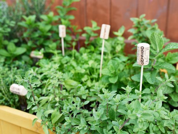 Wine cork plant labels, as seen on Food Network's The Kitchen.