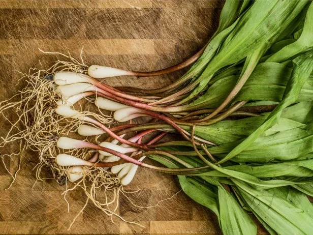 These powerfully pungent alliums are halfway between a leek and garlic, and only appear in the spring, growing in the wild near forest streams at higher altitudes. Foragers hunt them like hillbilly truffles, and restaurants such as Knoxville's J.C. Holdway are experts at harnessing the strong flavors to create delicate dishes that lure rabid ramp fans. In the home kitchen, fry up some Benton's Bacon and then cook sliced potatoes and ramps in the bacon grease for a doubly authentic taste of Appalachia.