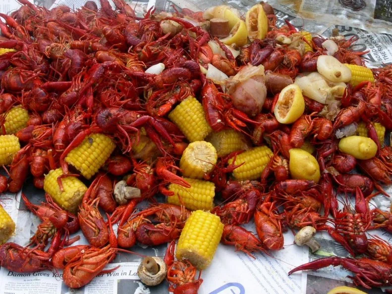 Like their Cajun neighbors, Mississippians are skilled in the art of crawfish-eating: Pinch the tails, suck the heads, pop the spicy, briny morsels in your mouth, then chase with beer. Though most commercial supplies come from Louisiana, the crimson crustaceans also grow in the Delta rice fields. During crawfish season in the winter and spring, seafood houses like Taranto's along the Gulf serve crawfish by the pound in spicy seasonings, with corn on the cob, sausages and plenty of paper towels. In the Delta town of Merigold, Crawdadâ  s doles out its namesake specialty — plus steaks — in a sprawling lodge where taxidermy covers every wall.