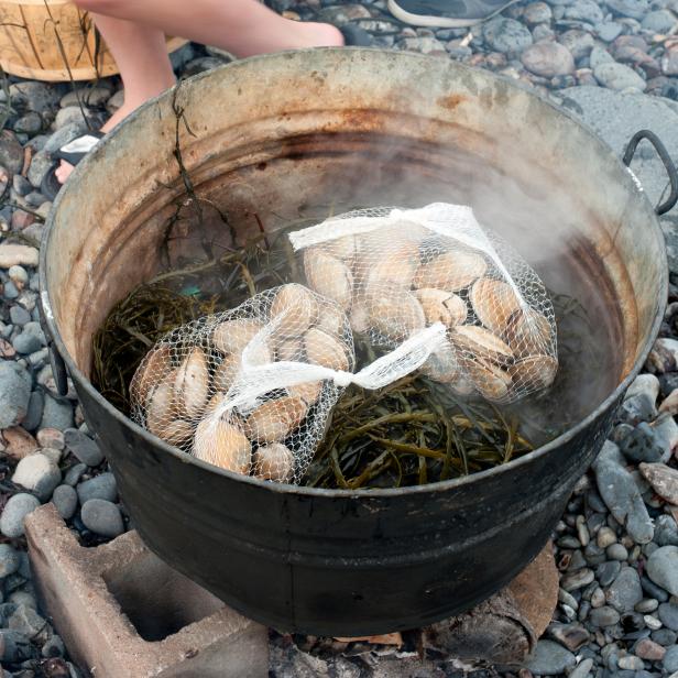 Pot of lobster on a beach layered with clams, seaweed and cloth at a traditional Maine lobster bake.