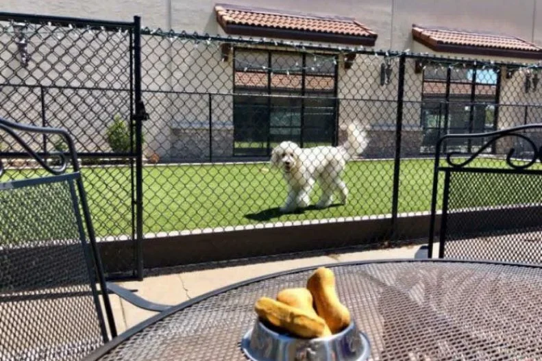 The idea of finding a dog-friendlier restaurant than Fetch Bistro is, well, pretty far-fetched. The dog-themed cafe on Wichita's east side allows owners to dine inside and out with their furry family members, and the spot even has its own fenced-in dog park. The restaurant, which was featured on an episode of Gordon Ramsay's 24 Hours to Hell and Back, is known for its made-from-scratch breakfast menu, served throughout the day. The menu features multiple Benedicts, omelets served in the traditional style or in quesadillas or burritos, and the popular country-fried steak with two eggs, hash browns or fried potatoes and toast for a very reasonable $11. And, of course, there's short selection of fare for your pup.