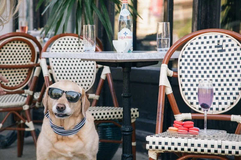 This expansive restaurant in Chicago's trendy West Loop takes its inspiration from Villa Nellcôte, the waterfront mansion overlooking Villefranche-sur-Mer in the Côte d'Azur where the Rolling Stones recorded "Exile on Main Street" during the summer of 1971. Just as the French would do, it allows guests' canine companions throughout the year on the patio. Each furry friend gets its own Nellcôte branded water bowl, and the place offers Bone Appetit happy hour specials from time to time. For humans, Executive Chef Jared Van Camp offers locally sourced riffs on Mediterranean fare like black truffle jus-infused Robuchon potatoes, wood-grilled duck breast with local sour cherries, and excellent pizzas and pastas made from house-milled 00 flour.