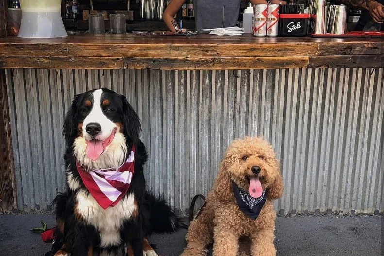 Space is tight in New York City, and many restaurants pack in the tables to maximize every square inch. That can make it difficult to dine out with your furball, unless you head to Pig Beach. The critically acclaimed Gowanus barbecue joint boasts nearly 13,000 square feet of outdoor dining area right near the waterfront, making it a prime spot to dine out with the pup. There's a full bar that mixes warm-weather-appropriate cocktails and pours beer and wine. And the meat stand churns out quality 'cue from two award-winning barbecue teams, Salty Rinse and Ribdiculous Bar-B-Krewe, helmed by Del Posto alum Chef Matt Abdoo. Make sure to try the baby back ribs with championship red sauce and sticky honey glaze and the Pig Beach Burger, which can be upgraded with a healthy dose of pulled pork.