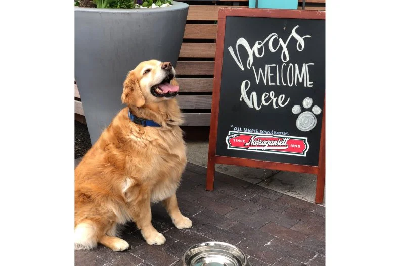 This chill neighborhood hangout near Cambridge's Kendall Square is a go-to for locals looking for a fun place to hang out with their pets. Just scroll through its Instagram feed to observe the evidence. It's full of enthusiastic pups living their best bar lives on the large and inviting outdoor patio that overlooks a quiet street. Hip crowds descend upon the loungey spot to listen to vintage vinyl tunes, sip classic cocktails and fill up on quirky bar snacks like crispy Viet wings and funky fries sprinkled with togarashi and nori, drizzled with Kewpie mayo.