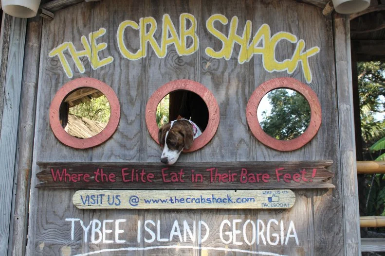 Leashed dogs are welcome to join their families on The Crab Shack's whimsical outdoor deck that offers idyllic views of Chimney Creek's marsh and provides relief from the sun with a thick canopy of Spanish-moss-covered live oaks. Servers bring pups bowls of water, and many of their human counterparts share bits of their low country fish boils and the Captain Crab Sampler, a heaping platter of snow, Jonah or rock crab with shrimp, mussels, crawfish, corn, potatoes and sausage, boiled in the traditional low country style with a secret seasoning blend. But take note: There are several well-mannered cats that stroll around the restaurant. The cats don't mind visiting dogs, but it's wise to leave overly feline-focused pups at home.