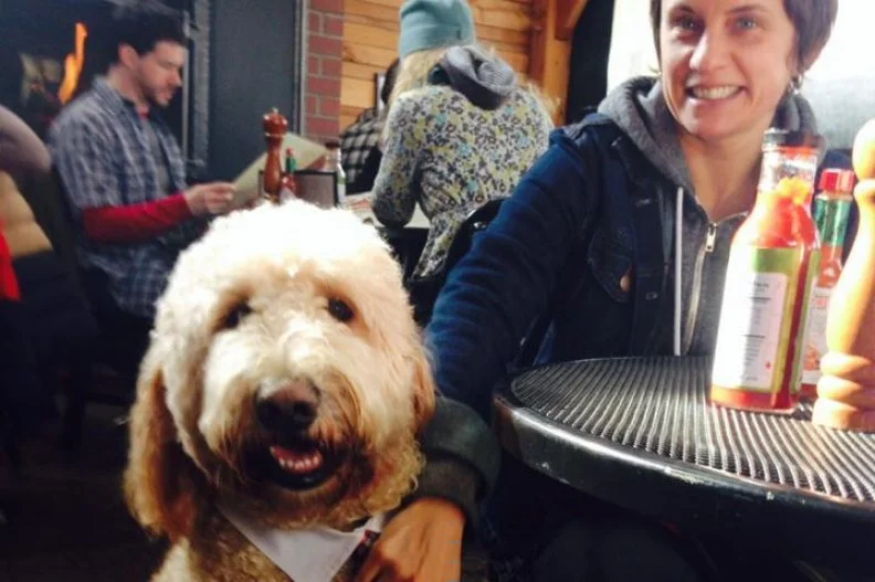 This popular Portland brunch place is a favorite among dog owners throughout the day. Pups are always allowed on the semi-enclosed patio, and the neighborhood restaurant offers a dog menu that even includes dog dessert. While pets can snag a snack whenever the mood hits (i.e., always), on Tuesday Tin Shed hosts Doggie Love Night. Starting at 5 p.m., canines can get a free dog dinner with the purchase of one full-priced adult meal from the casual American comfort-food menu that features picks like a sausage platter, build-a-burger, and mac 'n' cheese in the form of cavatappi tossed with a three-cheese sauce, topped with seasoned crouton crumble and baked.