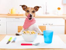 Canine cuisine is getting a gourmet makeover.