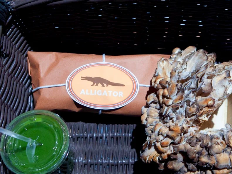 The mystery basket ingredients for the appetizer round are: Organic green juice, alligator, hen of the woods mushroom and mini rainbow marshmallows, as seen on Food Network's Chopped, Season 19.