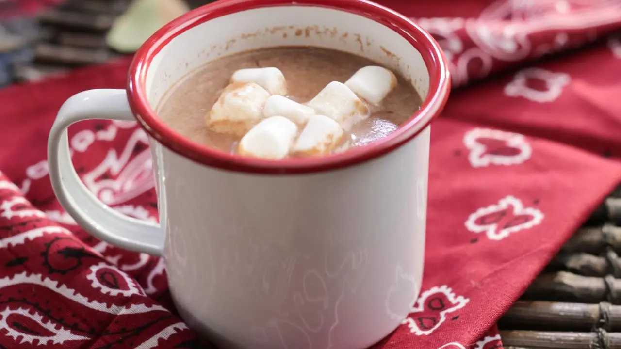 Cinnamon Hot Chocolate