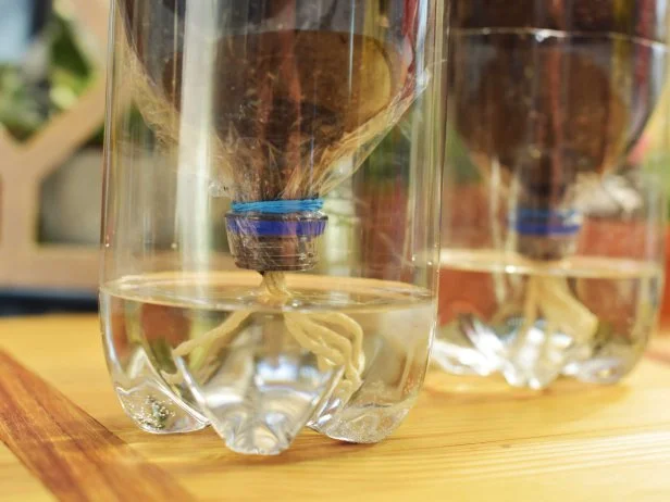 Sunny Anderson shows how to make a Self-Watering Herb Garden, as seen on The Kitchen, Season 17.