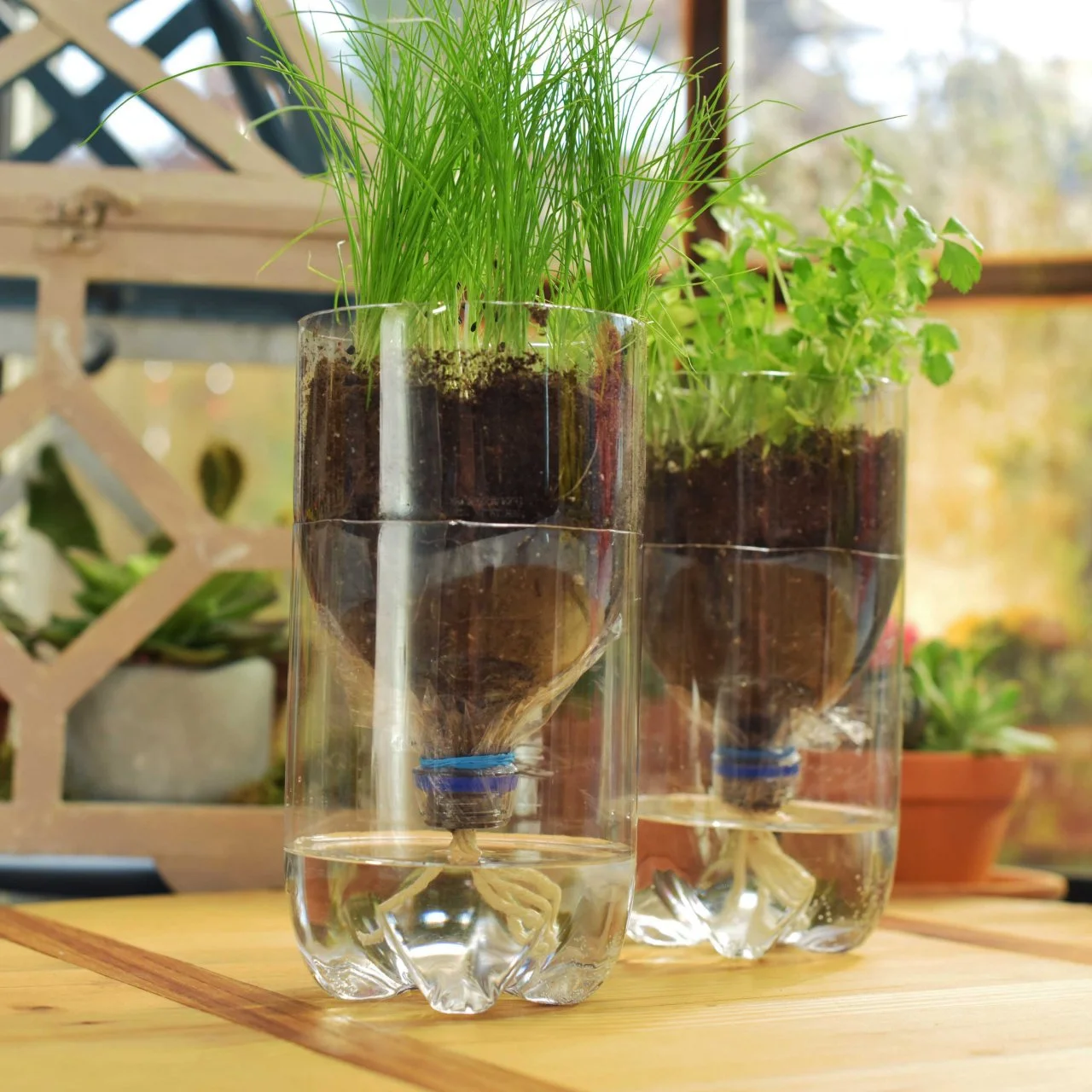 Herb Garden Self Waterinf