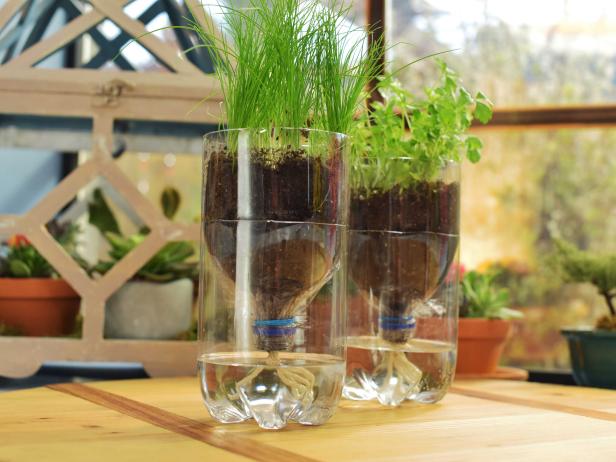 How To Make An Indoor Self Watering Herb Garden The Kitchen