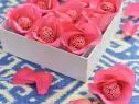 Katie Lee makes a Rose Petal Craft with Geoffrey Zakarian's Rosewater Chocolate Truffles, as seen on The Kitchen, Season 17.
