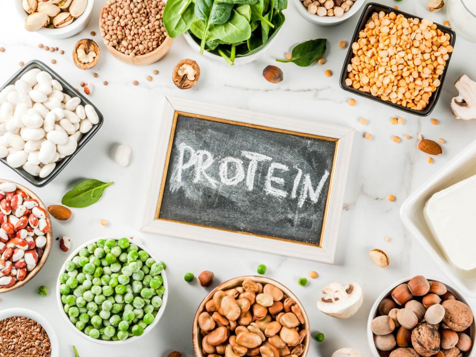 Image result for plant based protein