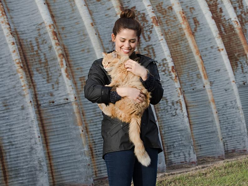 Girl Meets Farm: Behind The Scenes With Molly Yeh | Girl Meets Farm ...