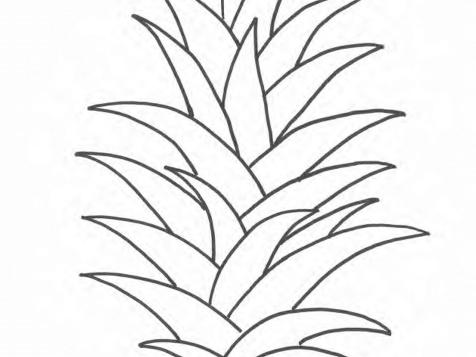 Pineapple Fronds Template