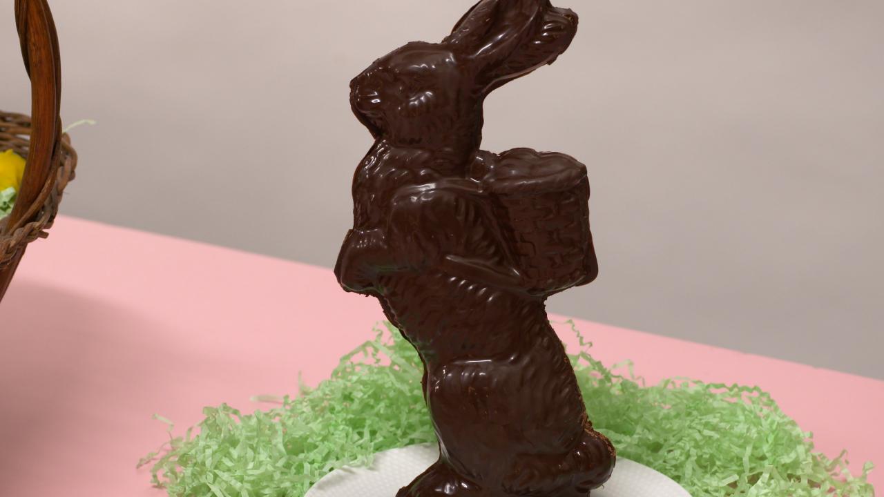 Giant Chocolate Easter Bunny
