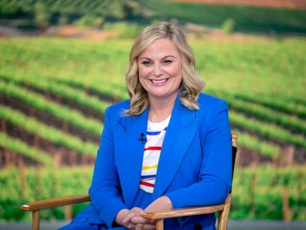 TODAY -- Pictured: Amy Poehler on Wednesday, May 8, 2019 -- (Photo by: Zach Pagano/NBC/NBCU Photo Bank via Getty Images)