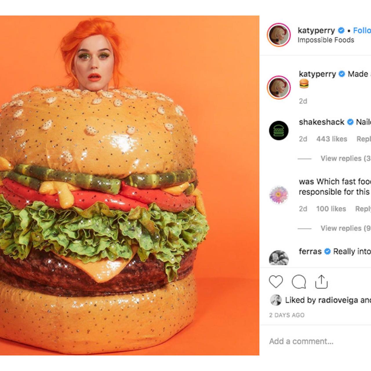 Katy outlet perry cheeseburger