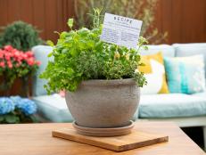 Sunny Anderson makes a Mediterranean Herb Garden for Mother's Day, as seen on Food Network's The Kitchen