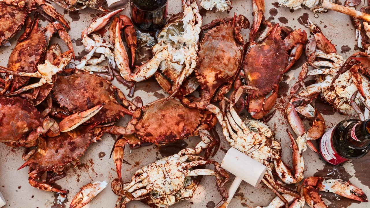 How to Cook a Classic Maryland-Style Crab Feast | Food Network