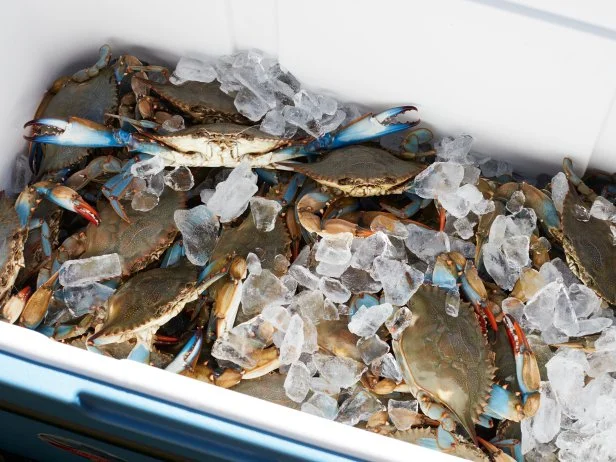 How To Crab Fest