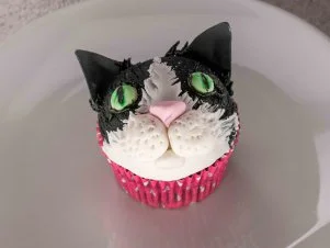 Contestant Stephanie Kissner's dish is Aunt Arlene's chocolate cupcake with vanilla buttercream, during the first challenge, as seen on Cupcake Championship, Season 1.