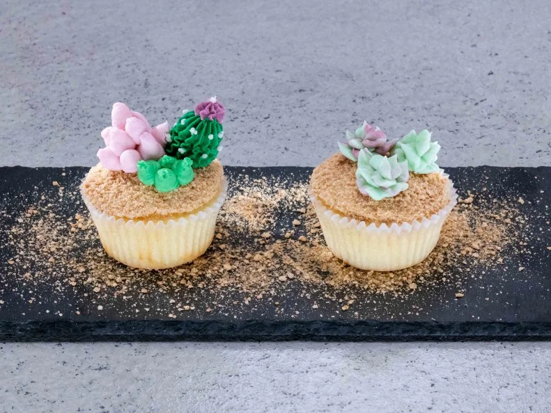 Contestant Heather Vernisie's dish is Margarita cupcakes with Tequila lime American buttercream frosting, during the first challenge, as seen on Cupcake Championship, Season 1.