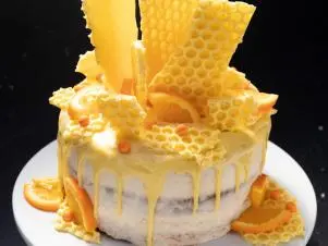 Melody Pfeffer Cake, as seen on Worst Bakers in America, Season 2.