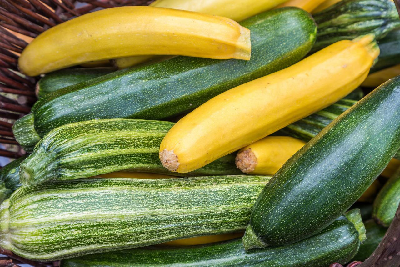 Are Squash and Zucchini Actually the Same Thing? | Recipes ...