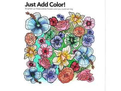 Color This Dish Winner S Circle Food Network