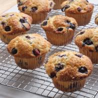 Classic 100 Blueberry Muffins