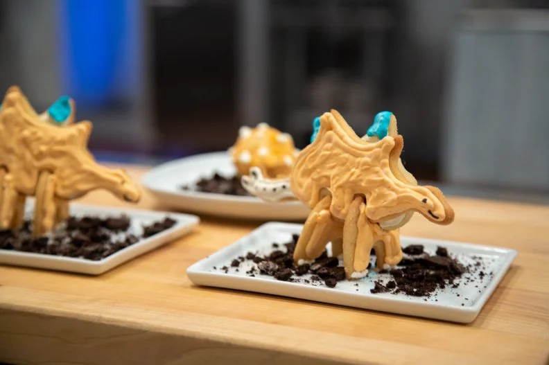 Graysen's cookies - STEGOSAURUS VANILLA BEAN SUGAR COOKIE WITH ORANGE ROYAL ICING,WITH ORANGE CREAM CAKE POP  'EGG Äù , as seen on Kids Baking Championship, Season 8.