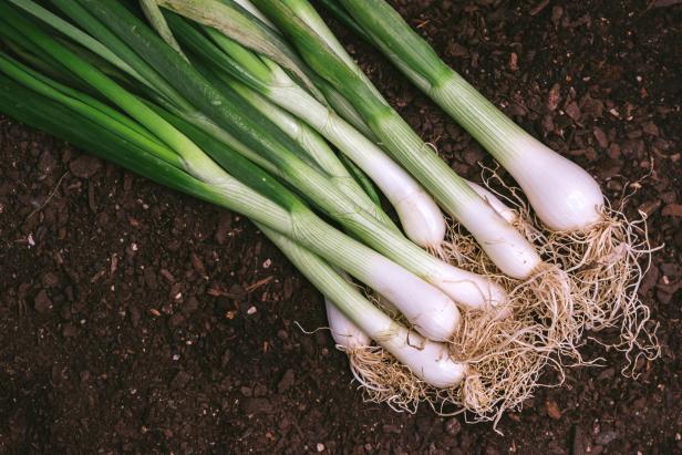 The Easiest Vegetables to Grow at Home | Food Network