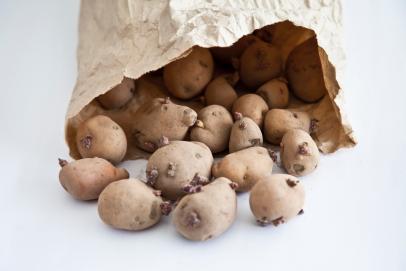 https://food.fnr.sndimg.com/content/dam/images/food/fullset/2020/04/02/FN_stock-art-sprouted-potatoes-getty_s6x4.jpg.rend.hgtvcom.406.271.suffix/1585859139785.jpeg