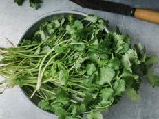 Fresh homegrown cilantro herbs, plant based food, local produce, close up, top view. Organic green leaf vegetables, healthy  vegan eating, harvest time (Fresh homegrown cilantro herbs, plant based food, local produce, close up, top view. Organic green